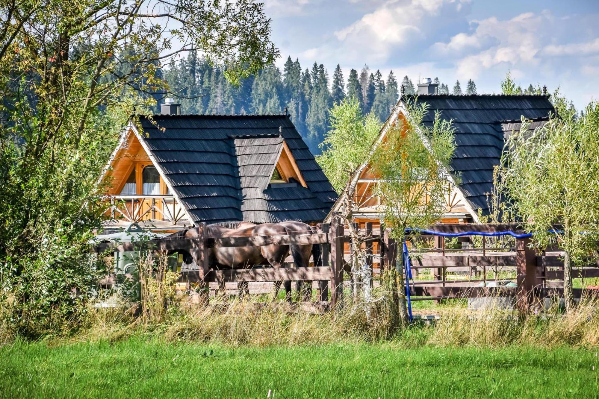 Chalet Gazdowka Na Brzyzku Zakopane