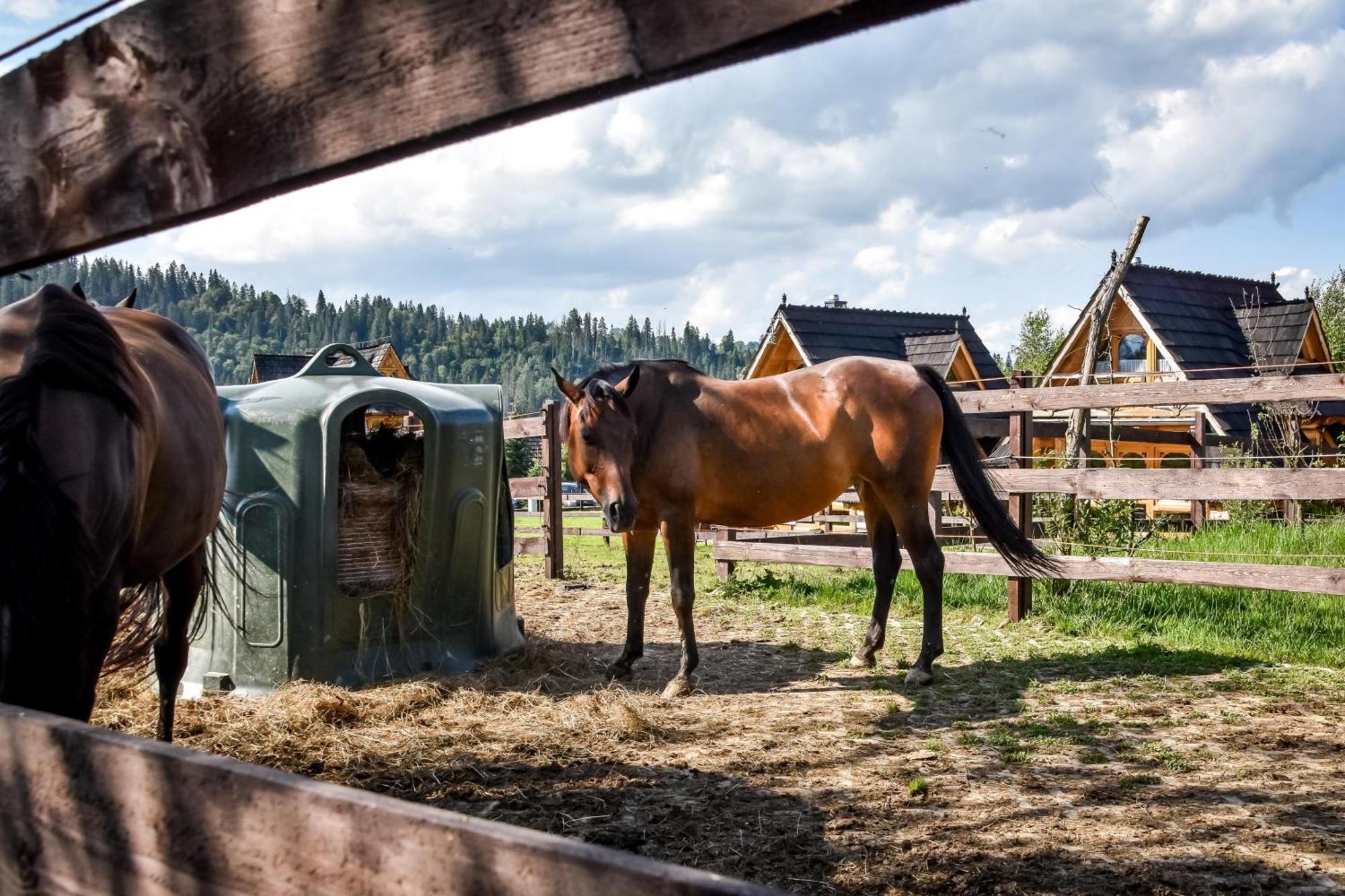 Gazdowka Na Brzyzku Zakopane