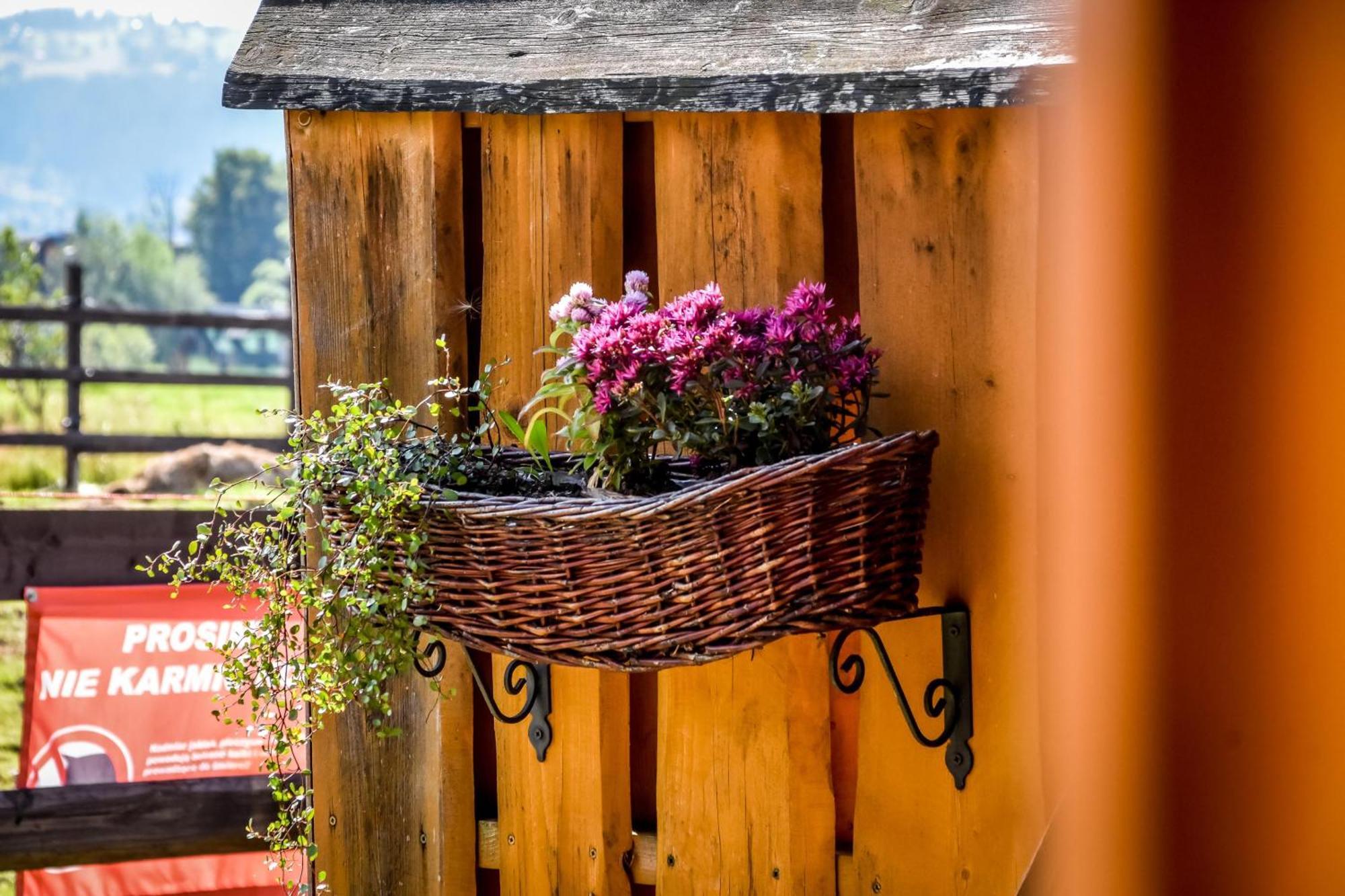 Gazdowka Na Brzyzku Chalet *
