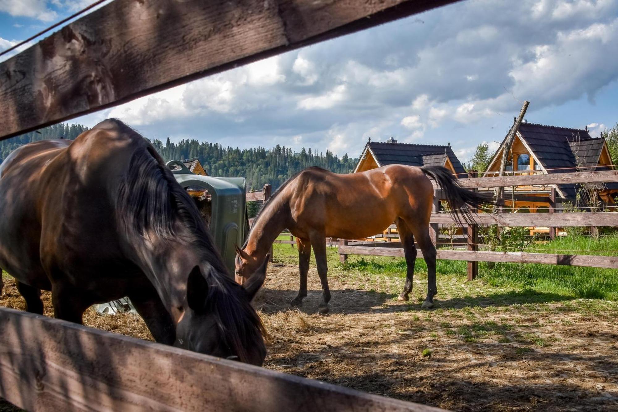 Chalet Gazdowka Na Brzyzku *
