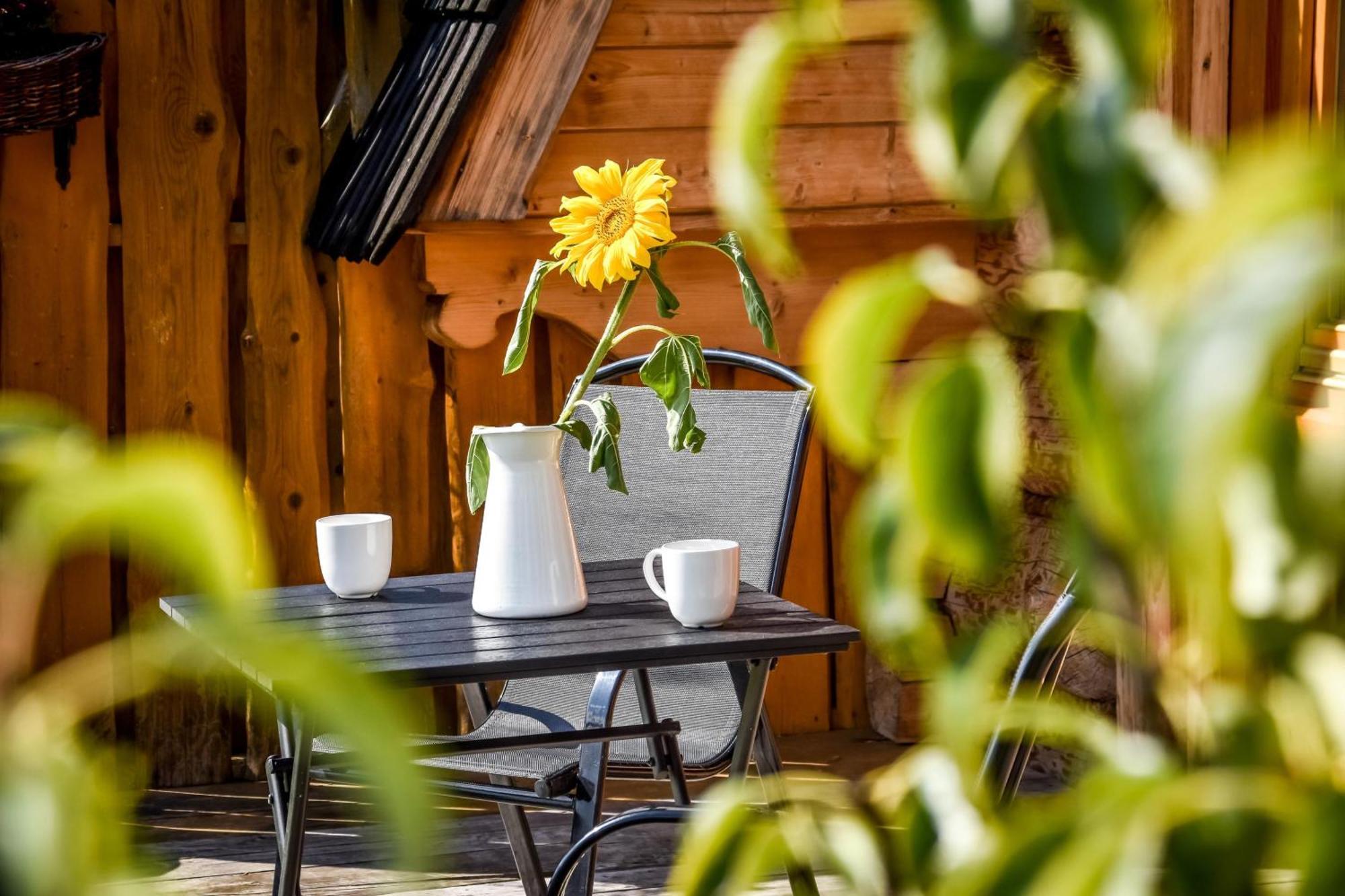 Chalet Gazdowka Na Brzyzku